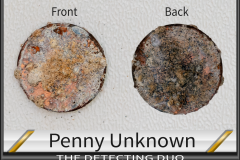 Penny Unknown 12