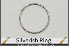 Silverish Ring