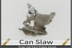 Can Slaw