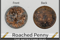 Penny Roached