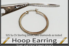 Hoop Earring Sterling Silver