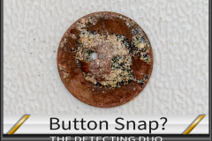 Button Snap