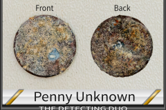 Penny Unknown 11