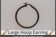 Earring Large Hoop