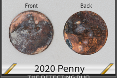 Penny 2020