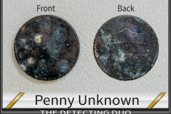 Penny Unknown 7