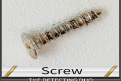Screw 1