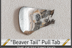 Pull Tab Beaver Tail 5