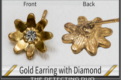 Earring Gold with Diamond