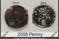 Penny 2008