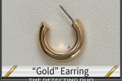 Goldish Earring