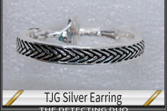 TJG Sterling Silver Earring
