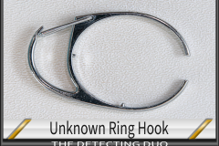 Unknown Ring Hook