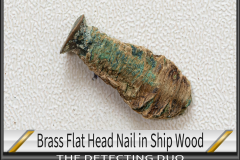 D2 Brass Nail Ship Wood
