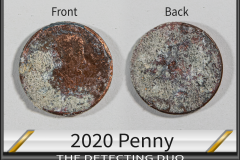 06-13 Penny 2020