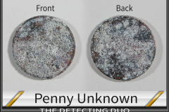 06-13 Penny Unknown