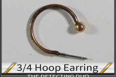 Earring 3-4 Hoop