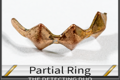 Ring Partial
