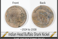 Nickel Buffalo Indian