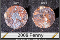 Penny 2008