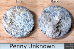 Penny Unknown 2