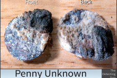 Penny Unknown 3