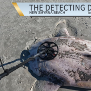S02 E03 A Giant SunFish! Metal Detecting New Smyrna Beach