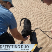 Metal Detecting New Smyrna Beach - Puzzling Lion King Things